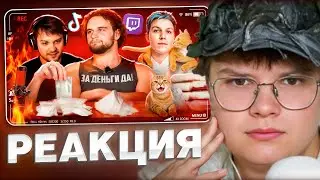 KASHYA WATCHES CAT ADVERTISEMENTS HAVE TAKEN OVER THE INTERNET - DONATIONS TO STREAMERS, TWITCH, ...