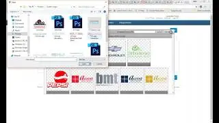 Logo Manager Overview