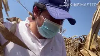 Aplicando Un Poco De Lo Que Estudie 👨‍🌾 - Alfredo Trebol