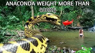What Is The Most Biggest Snake In The World