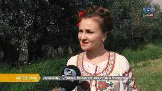 «Молдавская волна»