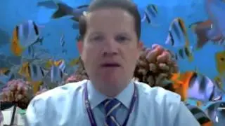 Stop Motion Course