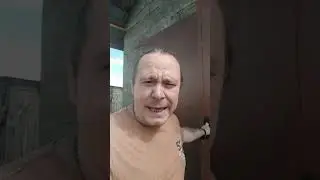 из жизни
