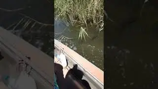 AZOV sea 1
