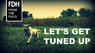 Duck Hunting 2017 Shaking the Rust Off