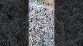Погода в Турции в феврале.