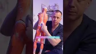 THIS is breaking your lower back! 