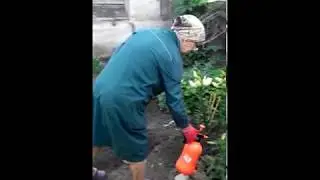 Моя мамуля Светуля, мичуринец 28.07.2018 год