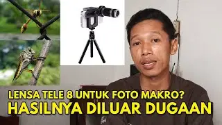 Baru Tahu Lensa Tele 8 Untuk Foto Objek Makro dan Hasilnya Diluar Dugaan | Tips Fotografi Pakai HP