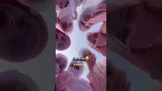 Отправь другу 😂🚀👍🏼 #xdoniër