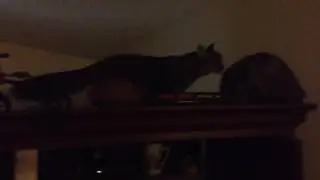 Learning to Fly