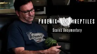Scales Documentary: Phoenix Reptiles