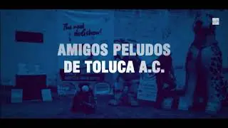 Amigos Peludos
