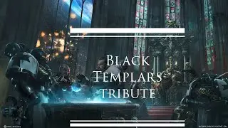 Warhammer 40k - Black Templars tribute (Die Eisenfaust am Lanzenshcaft)