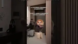 Было? 😂 #comedy #еда #мемы #хомяк