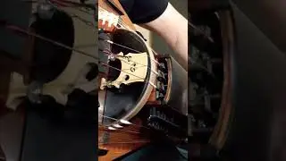 Lost Land #shorts #hurdygurdy