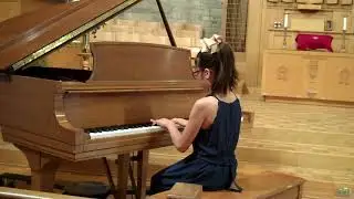 Firefly Dance by Jeanne Costello played by Violet