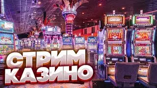 Стрим Оценка Каналов / Бесплатный пиар / РЕКЛАМА КАНАЛОВ / ИГРАЕМ В КАЗИНО / Ламповое общения !