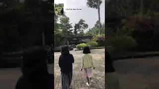 Ke lambo ijo lampung Eps 1
