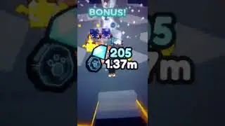 Untitled video