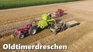 Oldtimerdreschen - Feldtag mit alten Fahrzeugen #dreschen #oldtimer #feldtag
