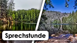 Sprechstunde zum Herbst 2024 | Sprechstunde #9