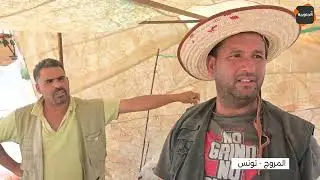 ⬅علوش يطيّح 50 كيلو بـ900 دينار والقرون بـ50 دينار 🤣🤣 في رحبة المروج 👈 كبش يدور 🔥🔥