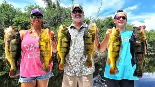 The Florida Everglades is Stacked with These Exotic Fish! Loading the Boat with Peacock Bass!  