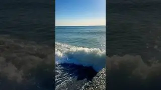 Сегодня уже 1ноября , вот такая зима в Адлере 🥰🤪 