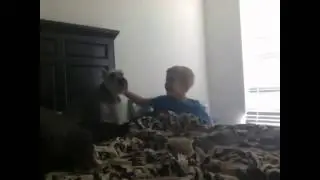 fly