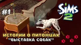 THE SIMS 2 ИСТОРИИ О ПИТОМЦАХ | СОБАКА-РАЗРУШИТЕЛЬ | СЕРИЯ 1