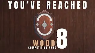 Valorant Funtage - Wood Rank Vol.8