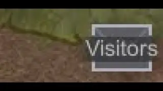 hmm... a visitor