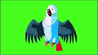 parrot 🦜 green screen effect 