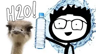 How to Drink Water to Lose Weight: 4 Scientific Reasons it Works