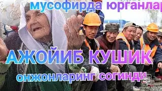 МУСОФИРДА ЮРГАНЛАРГА КУШИК ОНАЛАРИ СОГИНБ КУТГАН КУШИК