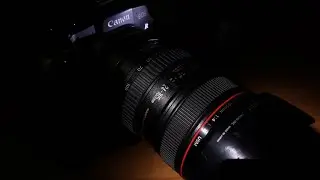 Canon EF 24-105/4 L review in 2022