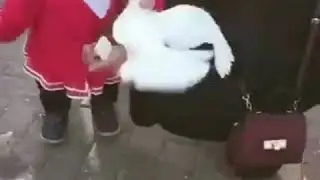 Приколы "Ты че голубок попутал?"