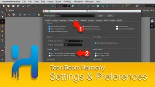 DART 162 F 2D Animation:  Preferences And Settings