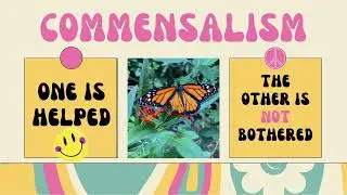 Quick Life Science for Kids: Symbiosis Commensalism 5th Grade Science