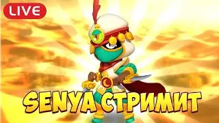 Стрим бравл старс, пуш 70000 кубков,stream Brawl stars