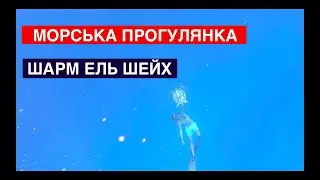 Краща екскурсія на курорті Шарм ель Шейх. Рас Мохамед. Єгипет.