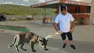 Chico capturou uma onça!😏