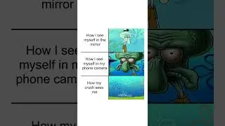 Funny Random Memes 395 