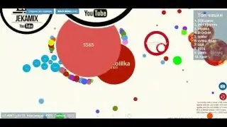 Чашка Петри HardCore EXP Нагнул Сервачок