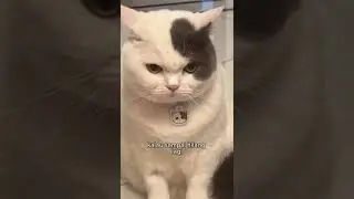 dengerin