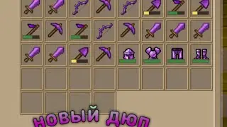 Новый дюп в скай блоке блокман го