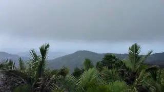 El Yungue Rainforest 17