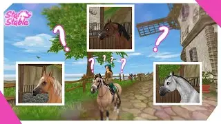 [SSO] StarStableOnline - Pferdekaufvideo | Araber Generation 3