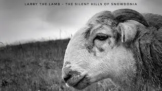 Larry The Lamb - The Silent Hills Of Snowdonia